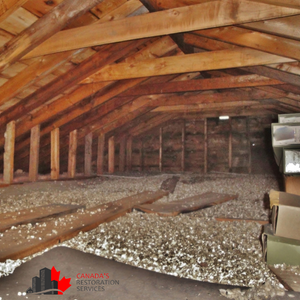 A Simple Guide to Attic Insulation Asbestos Removal | CRS - Asbestos Attic Remediation